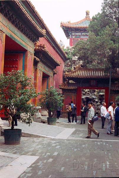 20110224_002.jpg