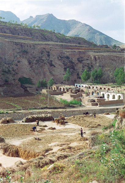 20110224_053.jpg