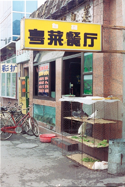 20110224_057.jpg