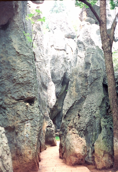20110227_019.jpg