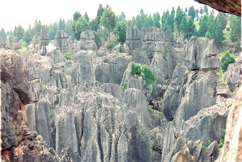 20110227_021.jpg