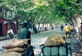 20110225_037