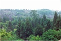 20110227_017