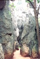 20110227_019