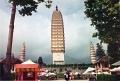 20110224_018