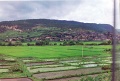 20110224_025