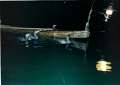 20110225_061