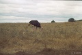 20120520_026