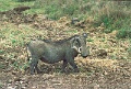 20120520_027