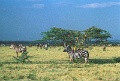 20120520_037