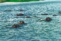 20120520_042