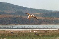 20120520_053