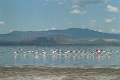 20120520_055
