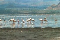 20120520_058