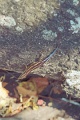 20120520_062