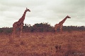 20120520_084