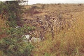 20120520_085