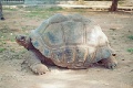 20120522_006