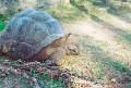20120522_011