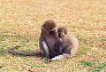 20120526_003