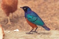 20120526_005