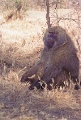 20120526_010