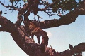 20120526_028