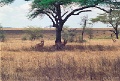 20120526_029