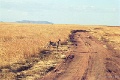 20120526_033
