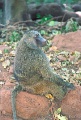 20120526_039