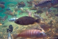 20120526_052