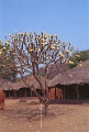 20120520_031