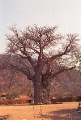20120520_032