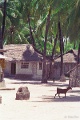 20120526_076