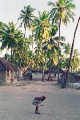 20120526_081