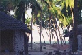 20120526_082