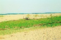 20120522_015