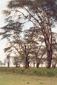 20120522_032