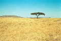 20120522_045