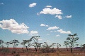 20120522_048