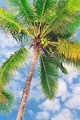 20120526_071