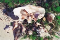 20120526_091