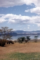 Landscapes
