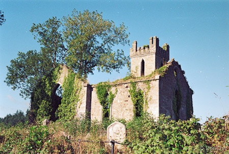 Avoca