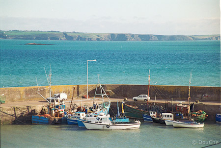 Helvick Head