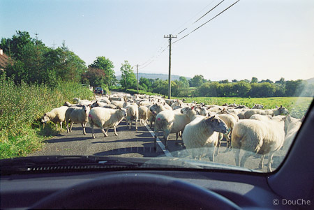 Leckaun
