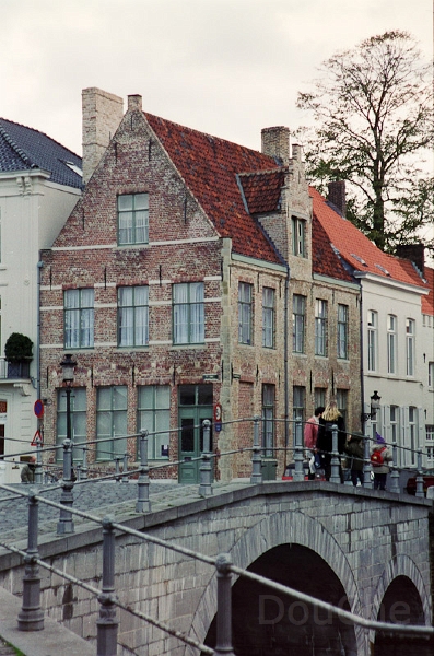 20110613_042.jpg