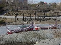 DSC09446