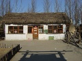 DSC09491