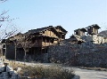 DSC09518